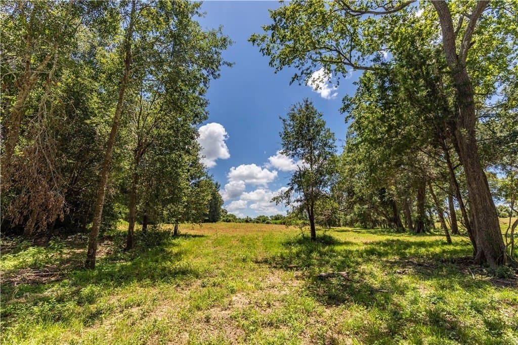 8.74 acres in AUSTIN County - photo 5