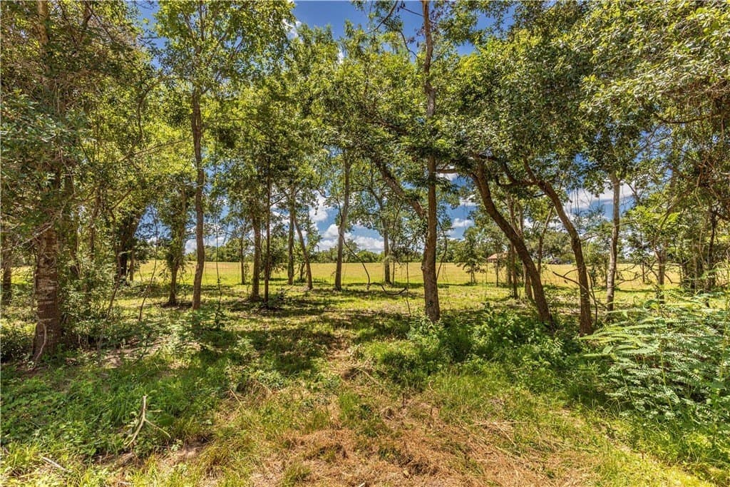 8.74 acres in AUSTIN County - photo 13