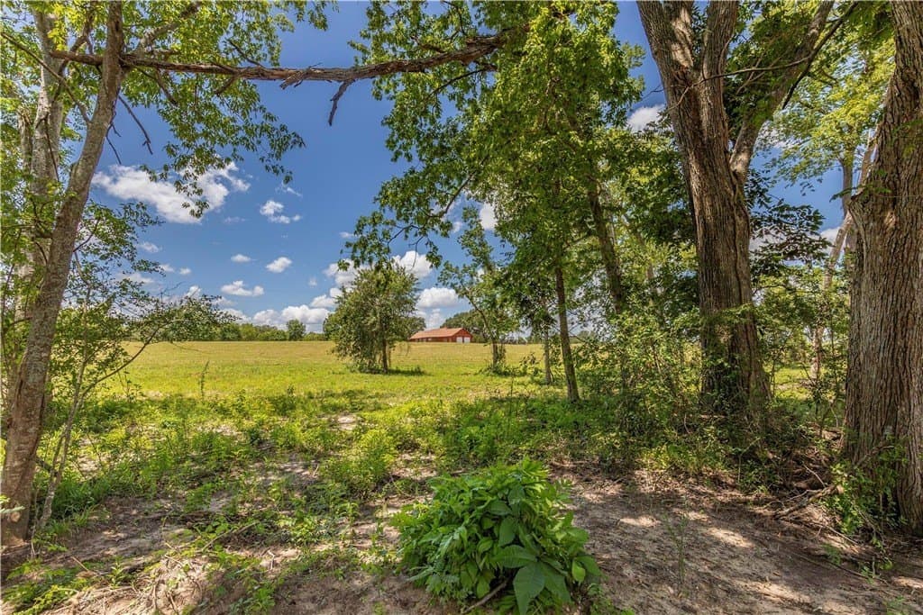 8.74 acres in AUSTIN County - photo 10