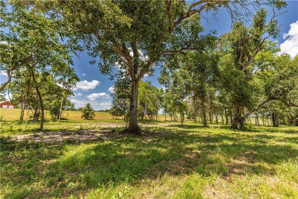 8.74 acres in AUSTIN County - photo 2