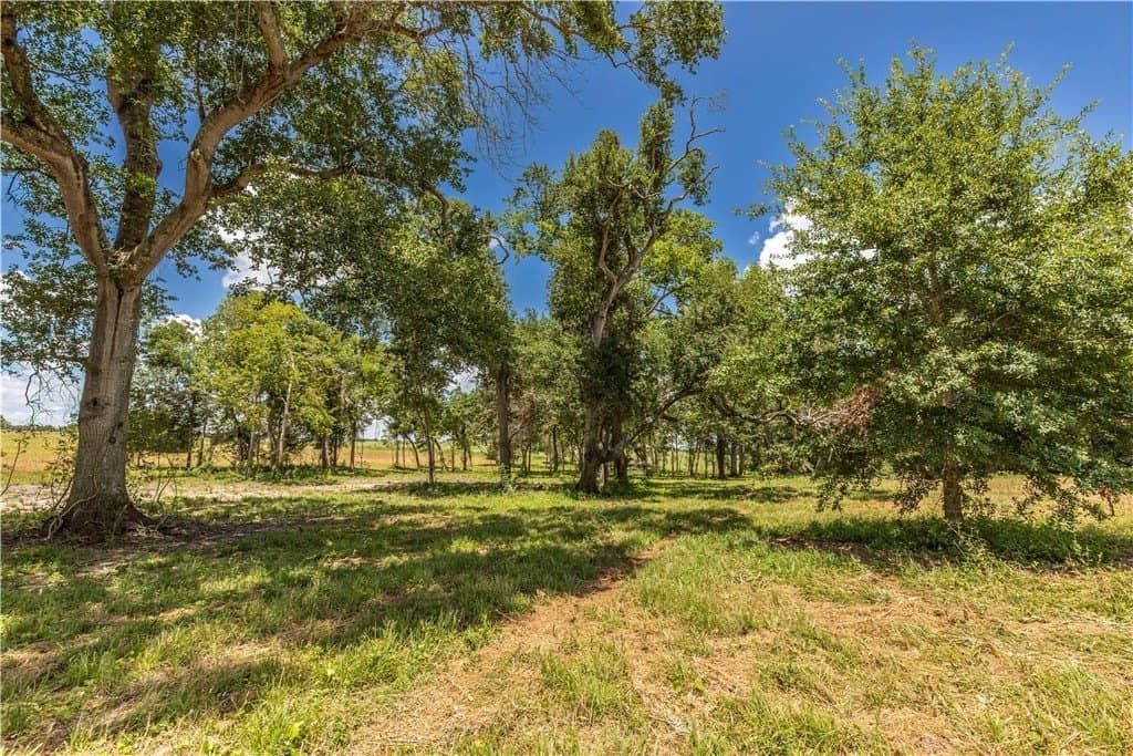 8.74 acres in AUSTIN County - photo 15