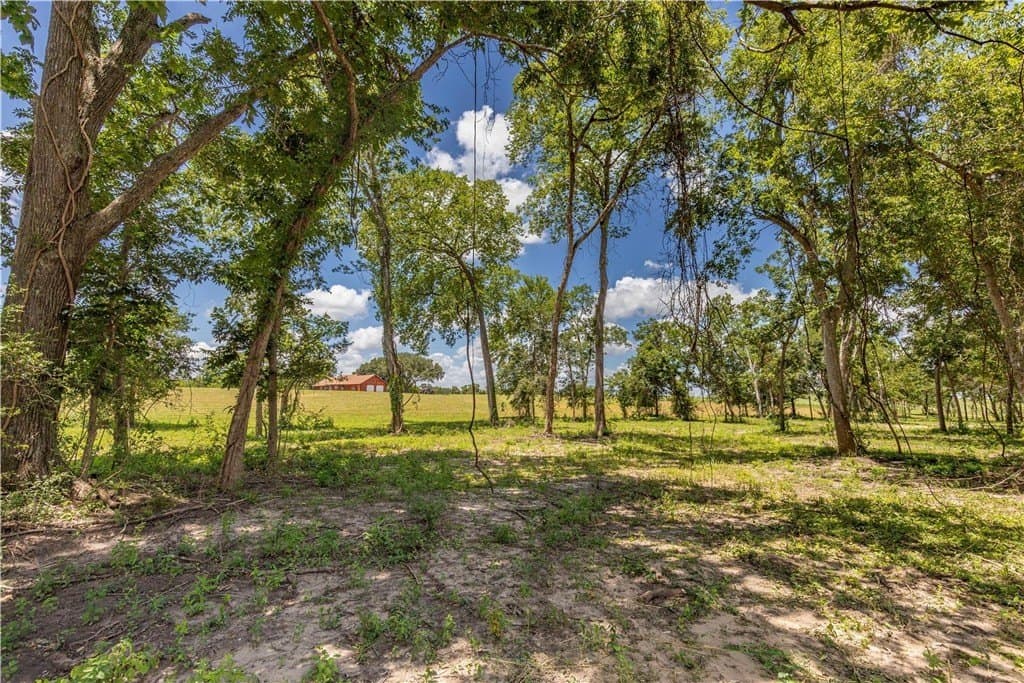 8.74 acres in AUSTIN County - photo 9