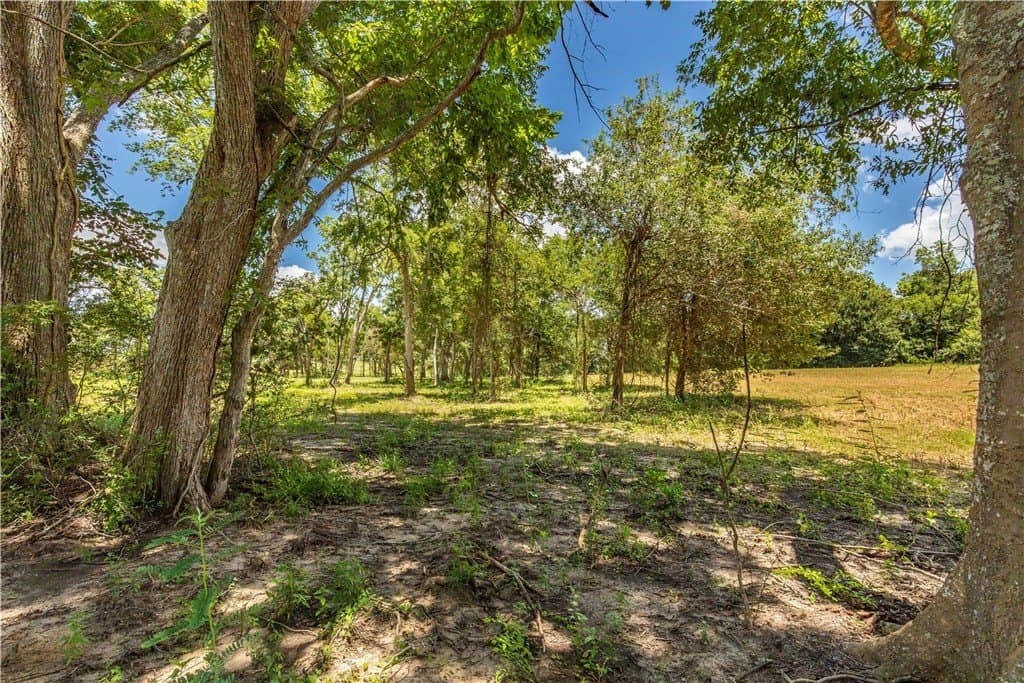 8.74 acres in AUSTIN County - photo 11