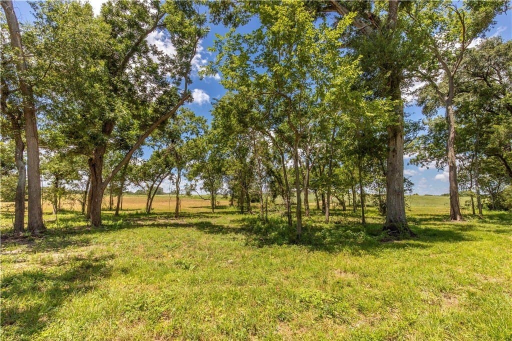 8.74 acres in AUSTIN County - photo 4