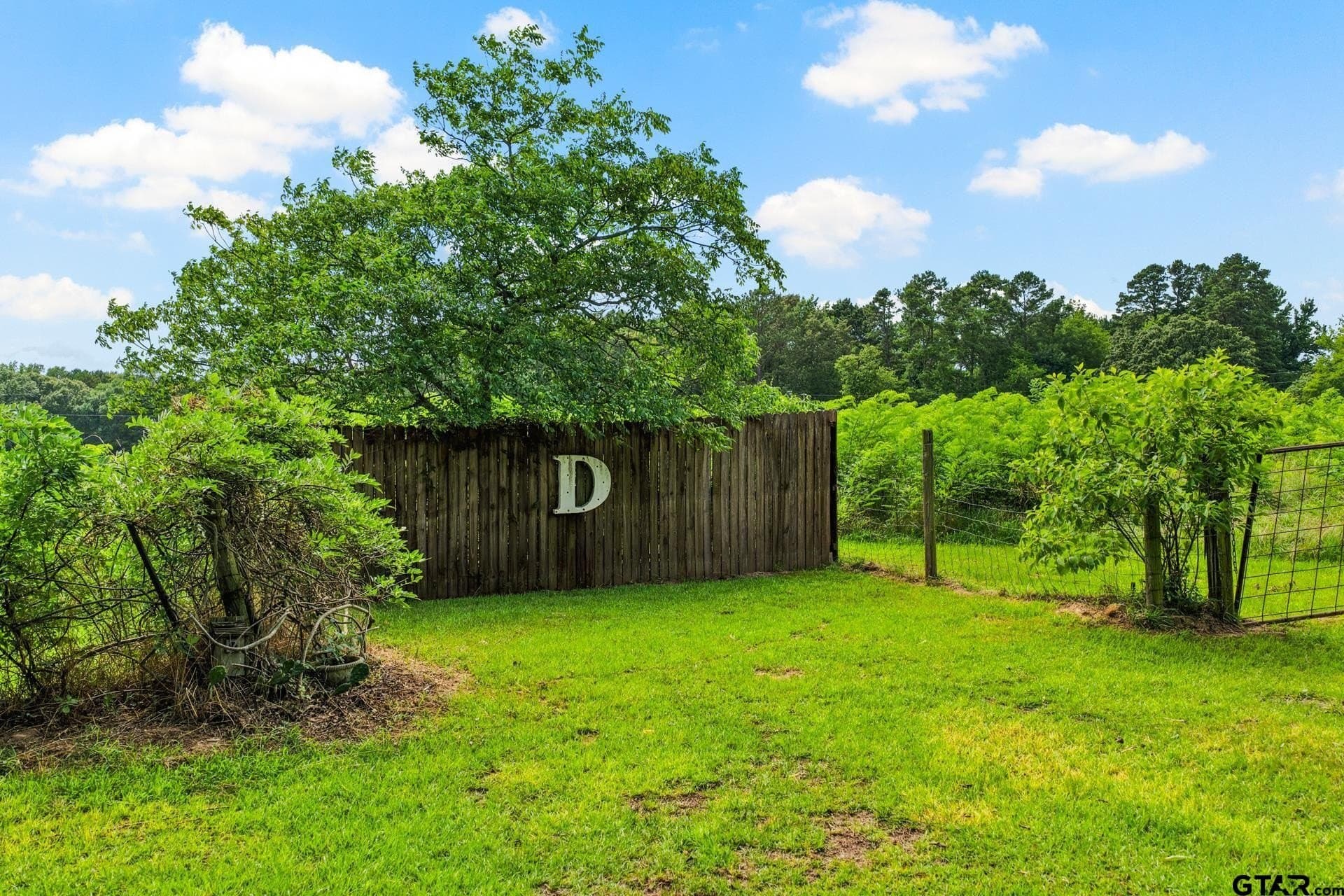 9.5 acres in Titus County - photo 24