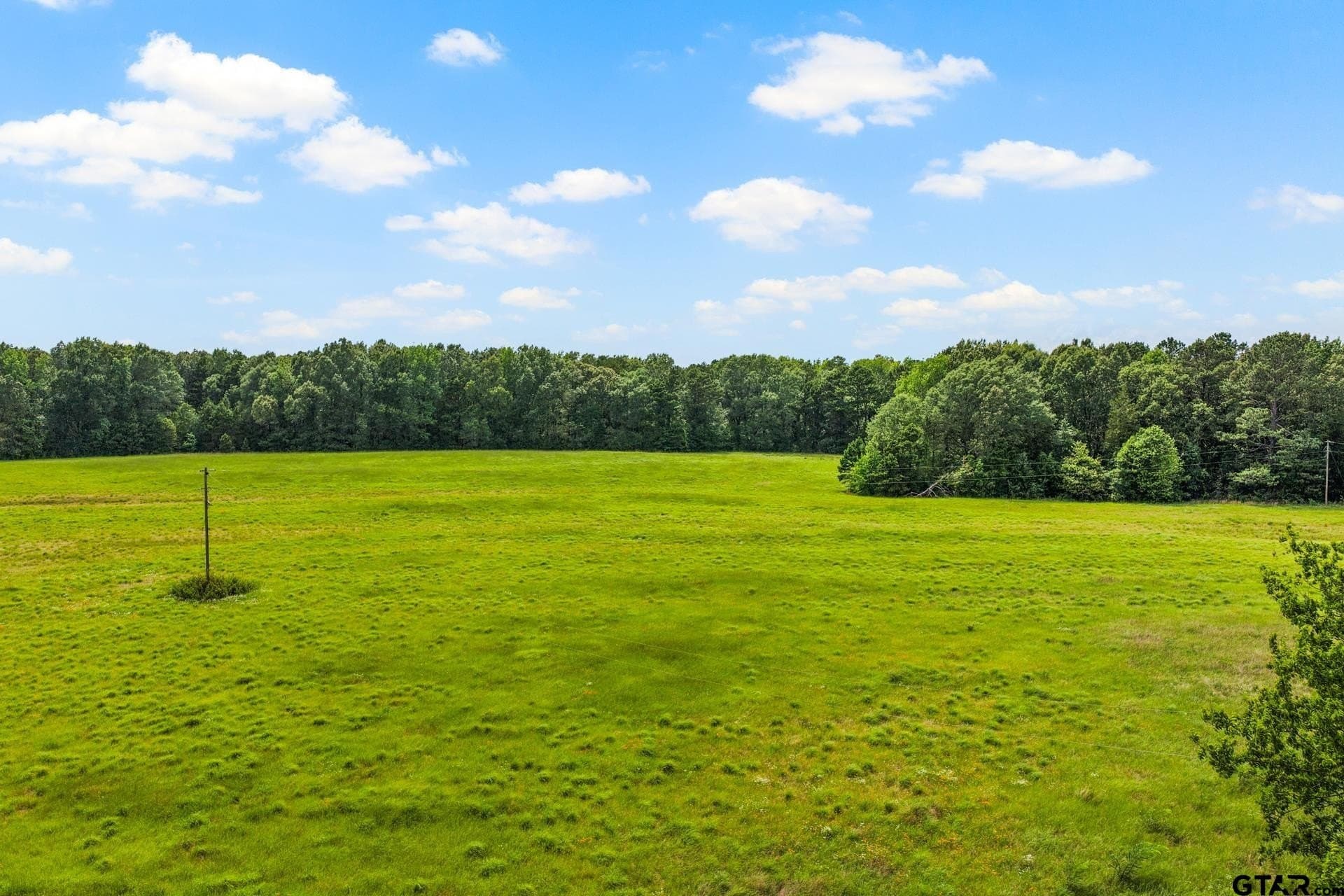 9.5 acres in Titus County - photo 27