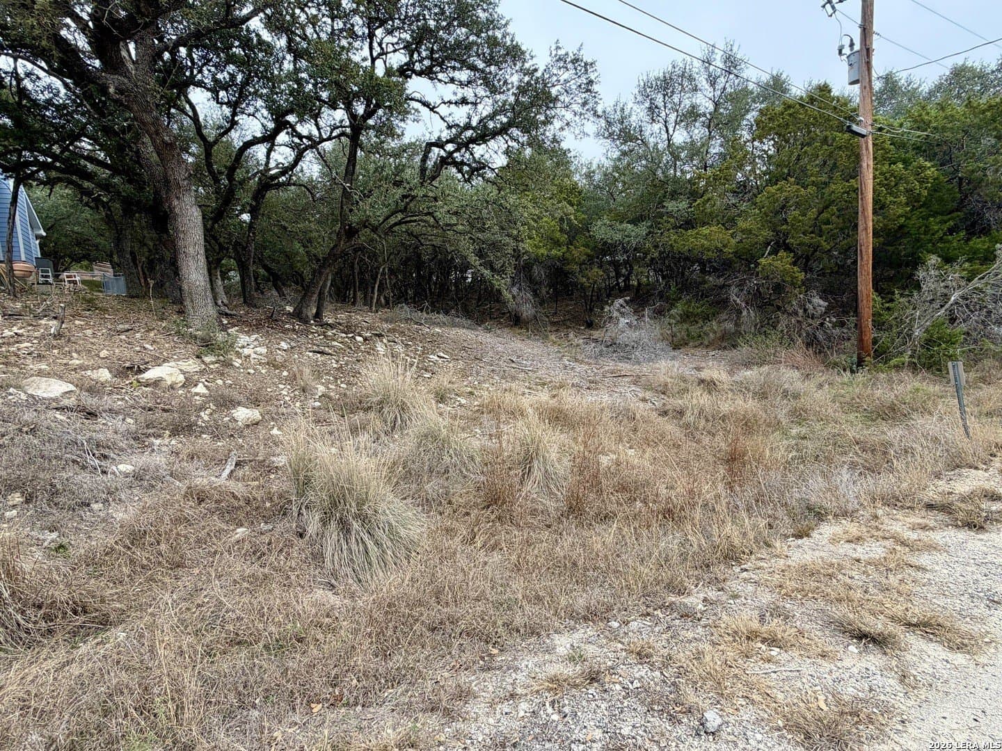 0.23 acres in Comal County gallery image 4