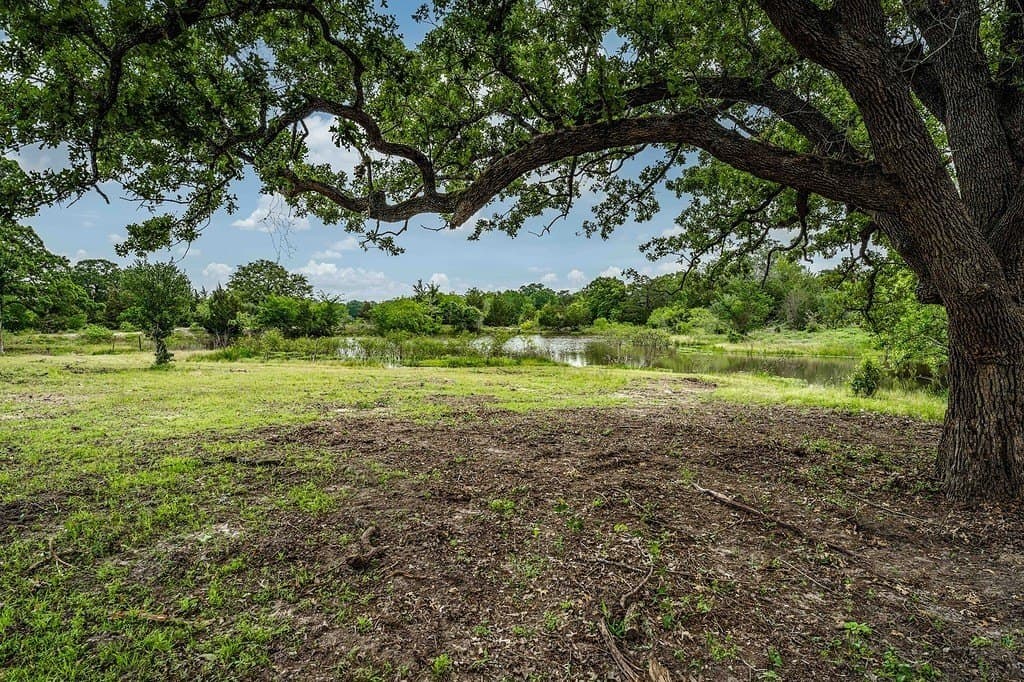 6.69 acres in Fayette County gallery image 2