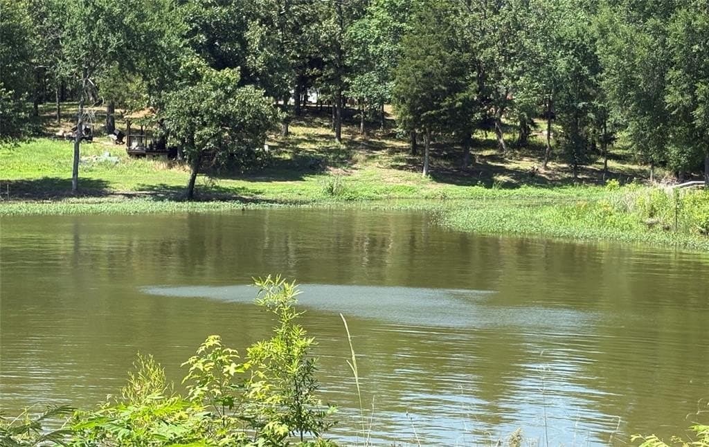 0.3 acres in Wood County featured view