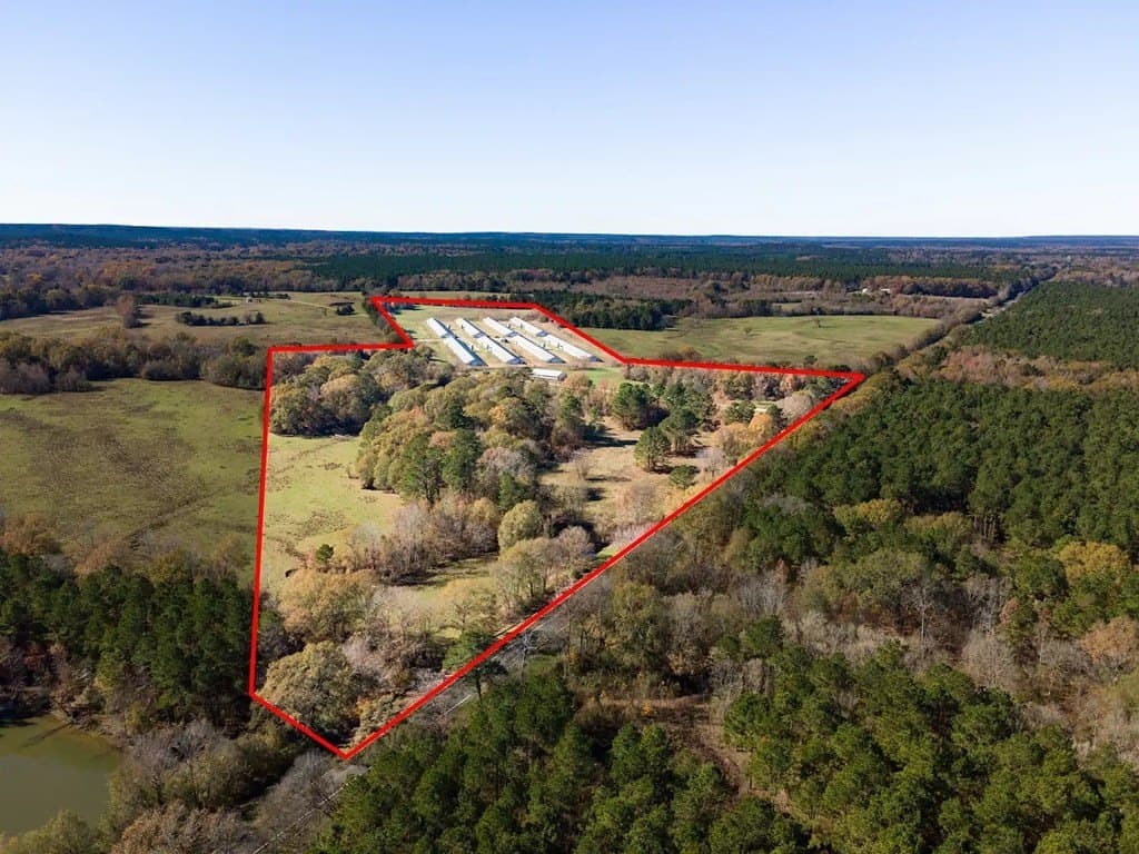 56 acres in Texas County gallery image 3