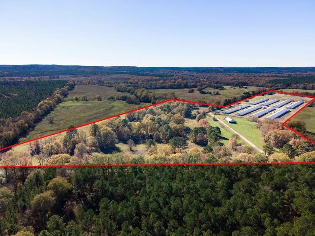 56 acres in Texas County gallery image 4