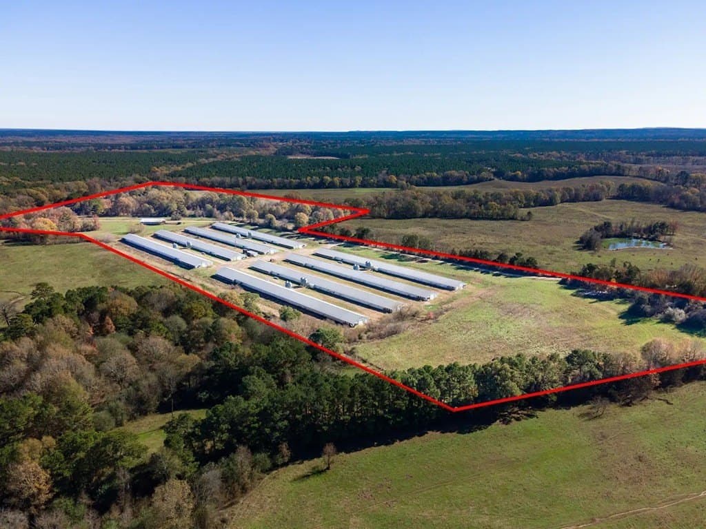 56 acres in Texas County featured view