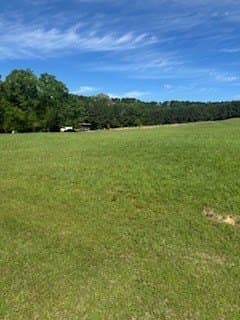 0.69 acres in Texas County - photo 13