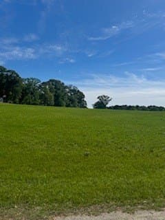 0.69 acres in Texas County - photo 9