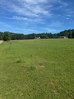 0.69 acres in Texas County - photo 11