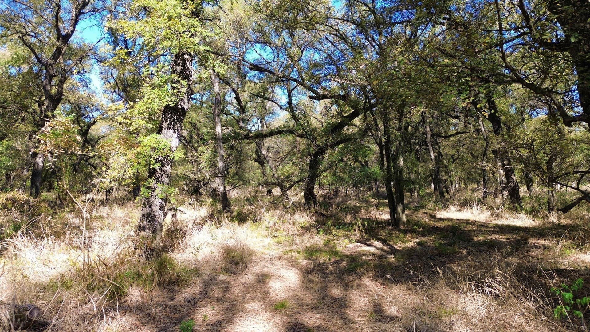 16.45 acres in Ellis County - photo 31