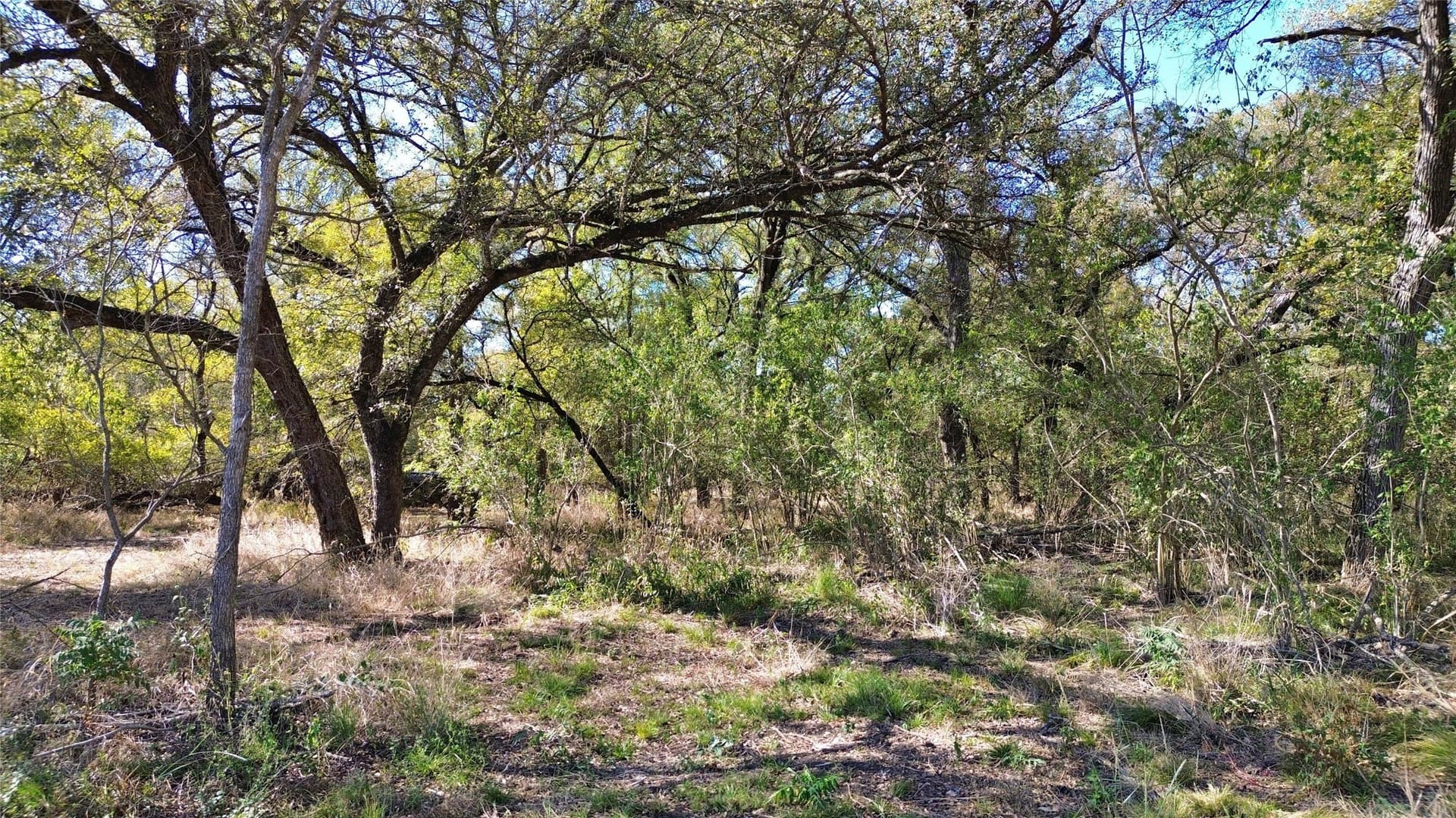 16.45 acres in Ellis County - photo 28