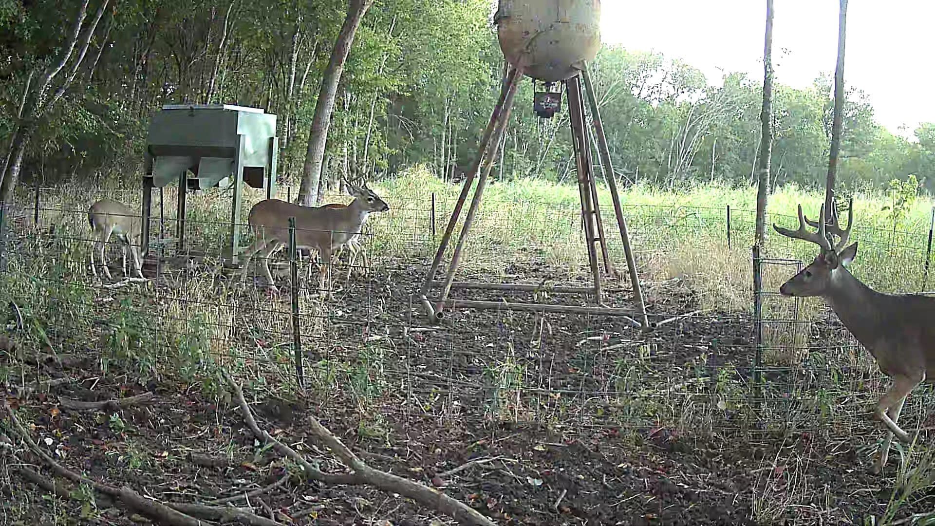 16.45 acres in Ellis County - photo 35