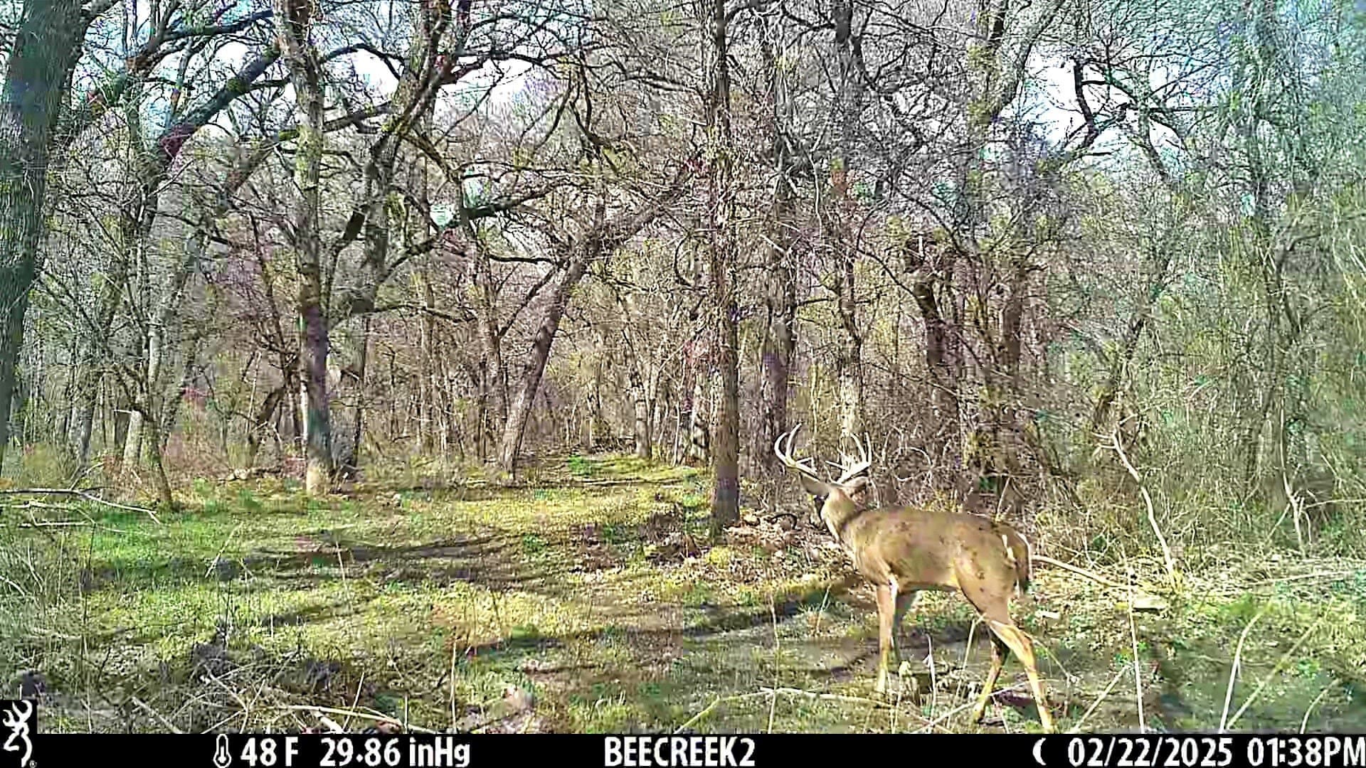 16.45 acres in Ellis County - photo 13