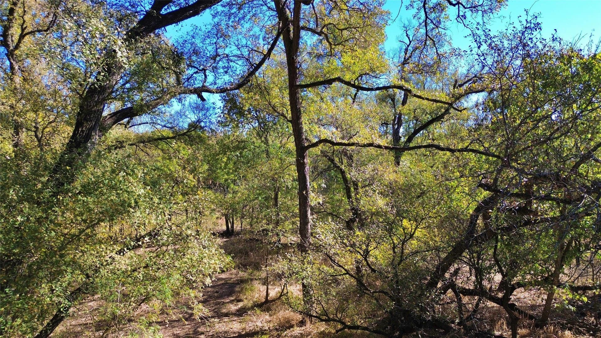 16.45 acres in Ellis County - photo 4