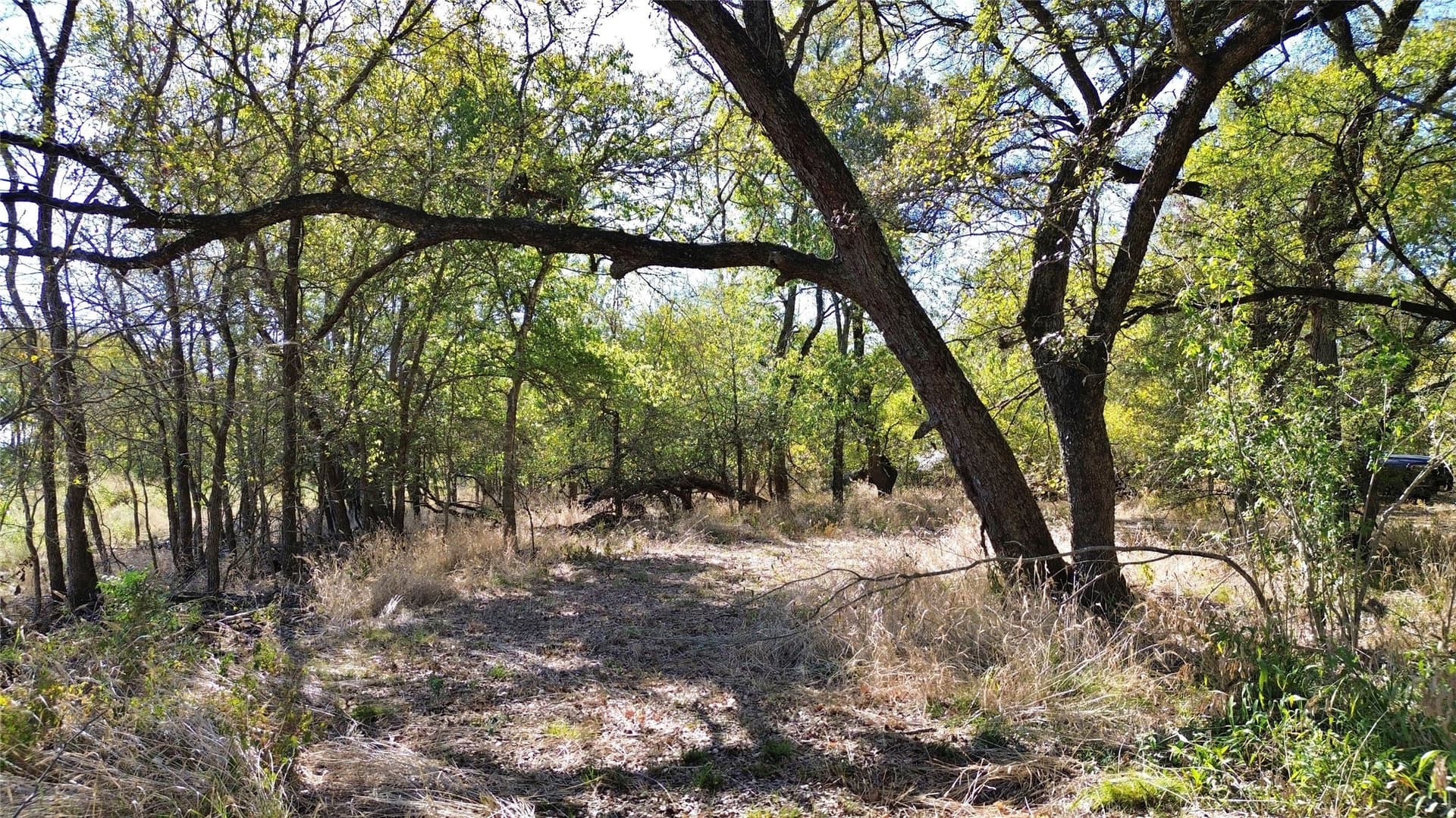 16.45 acres in Ellis County - photo 8