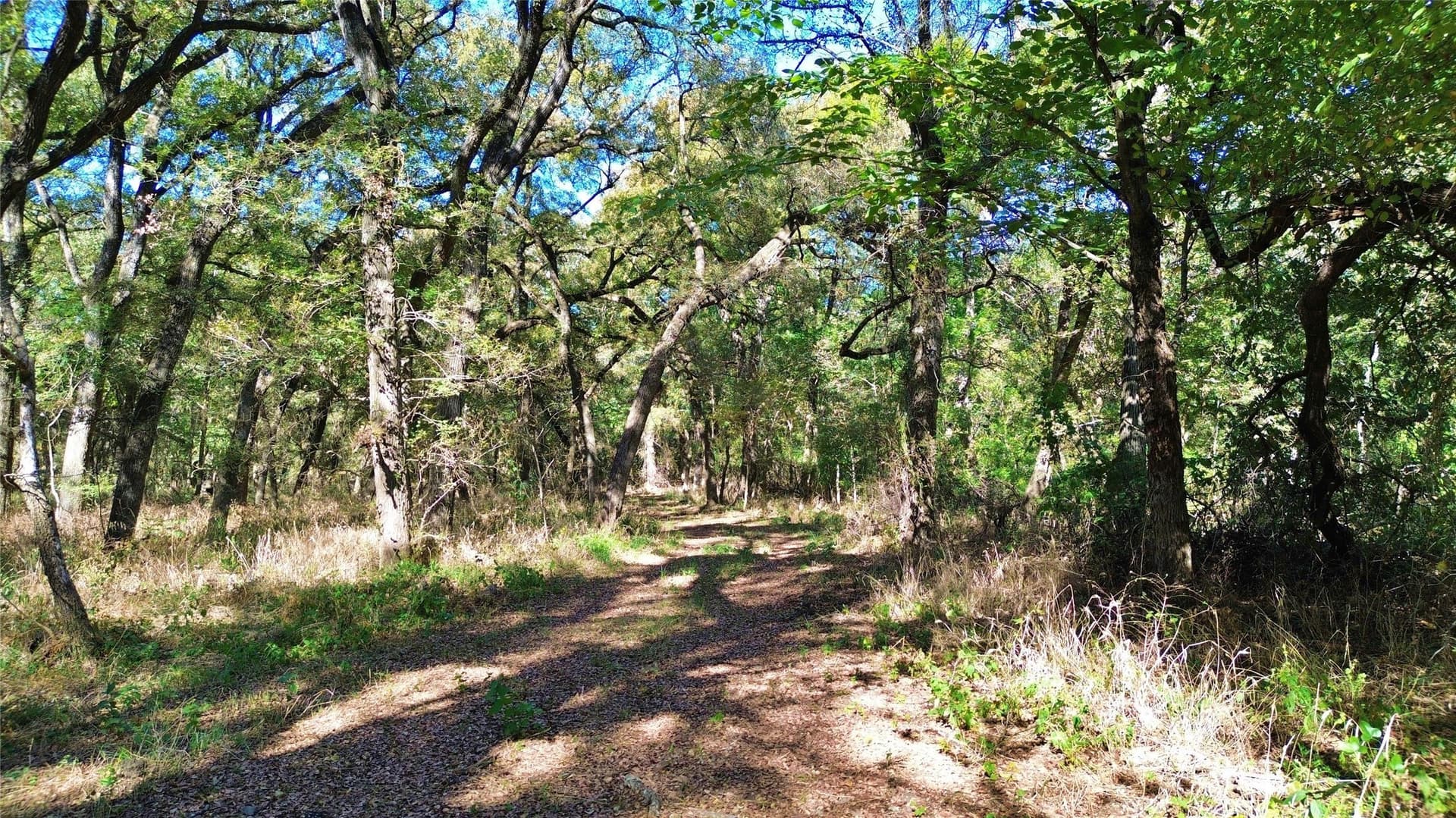 16.45 acres in Ellis County - photo 11