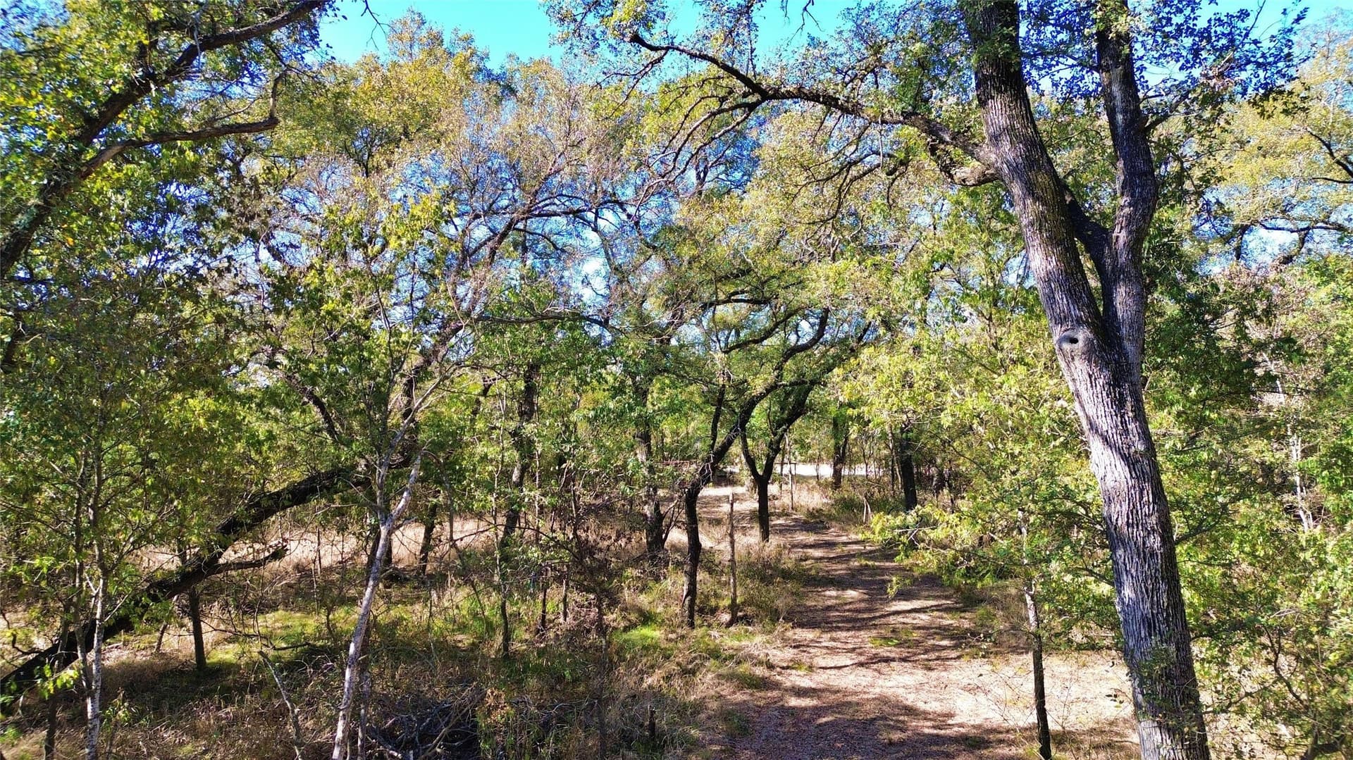 16.45 acres in Ellis County - photo 3