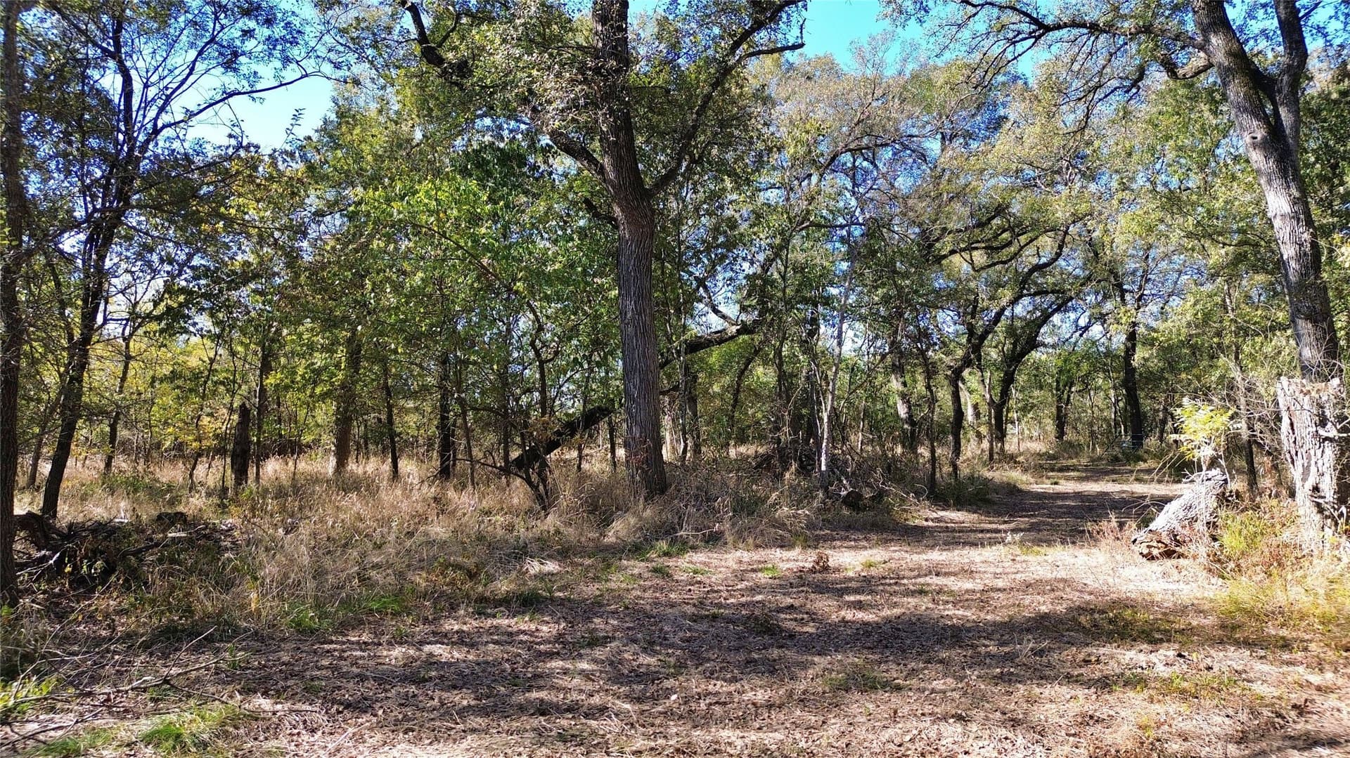 16.45 acres in Ellis County - photo 9