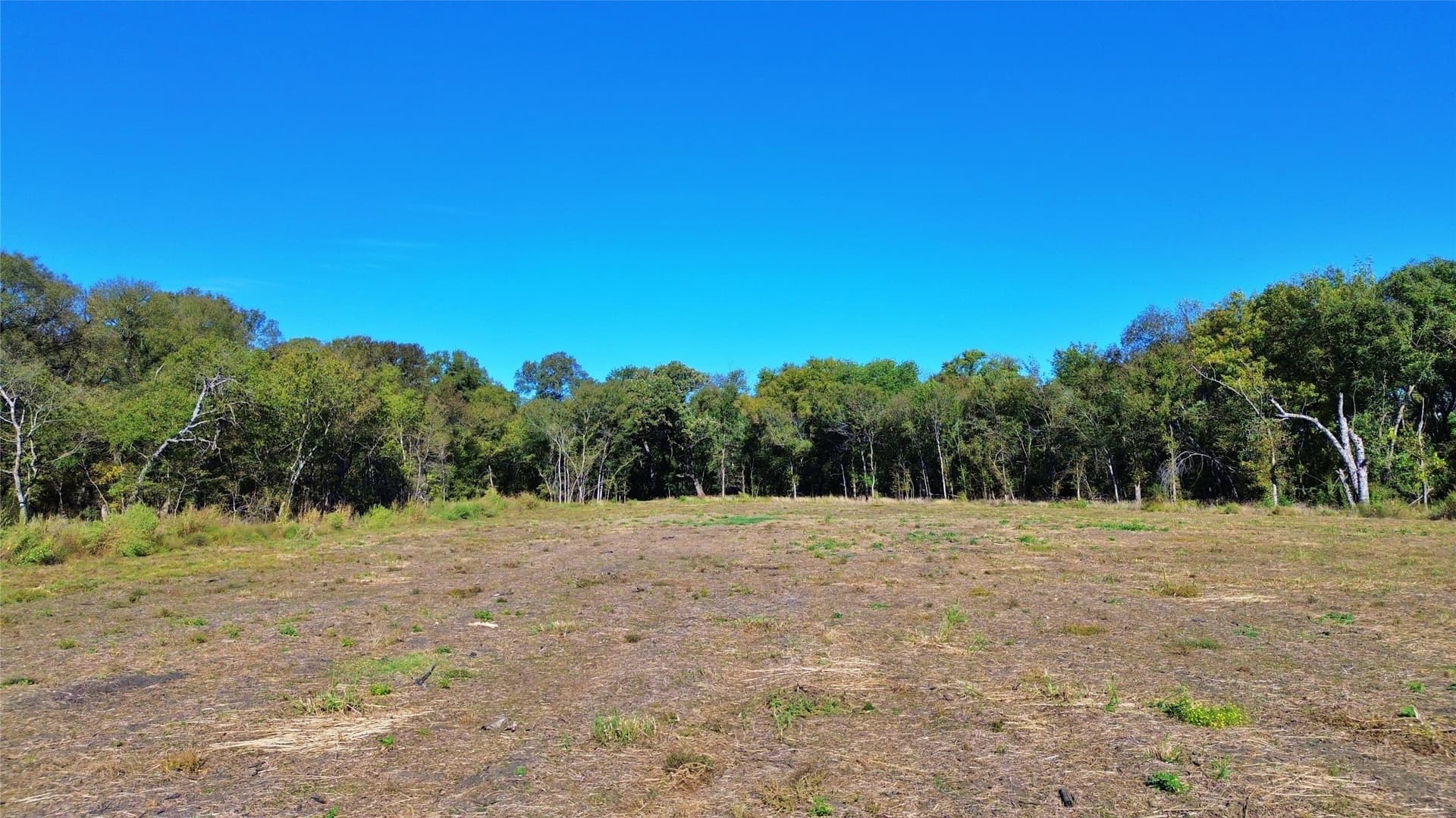 16.45 acres in Ellis County - photo 21
