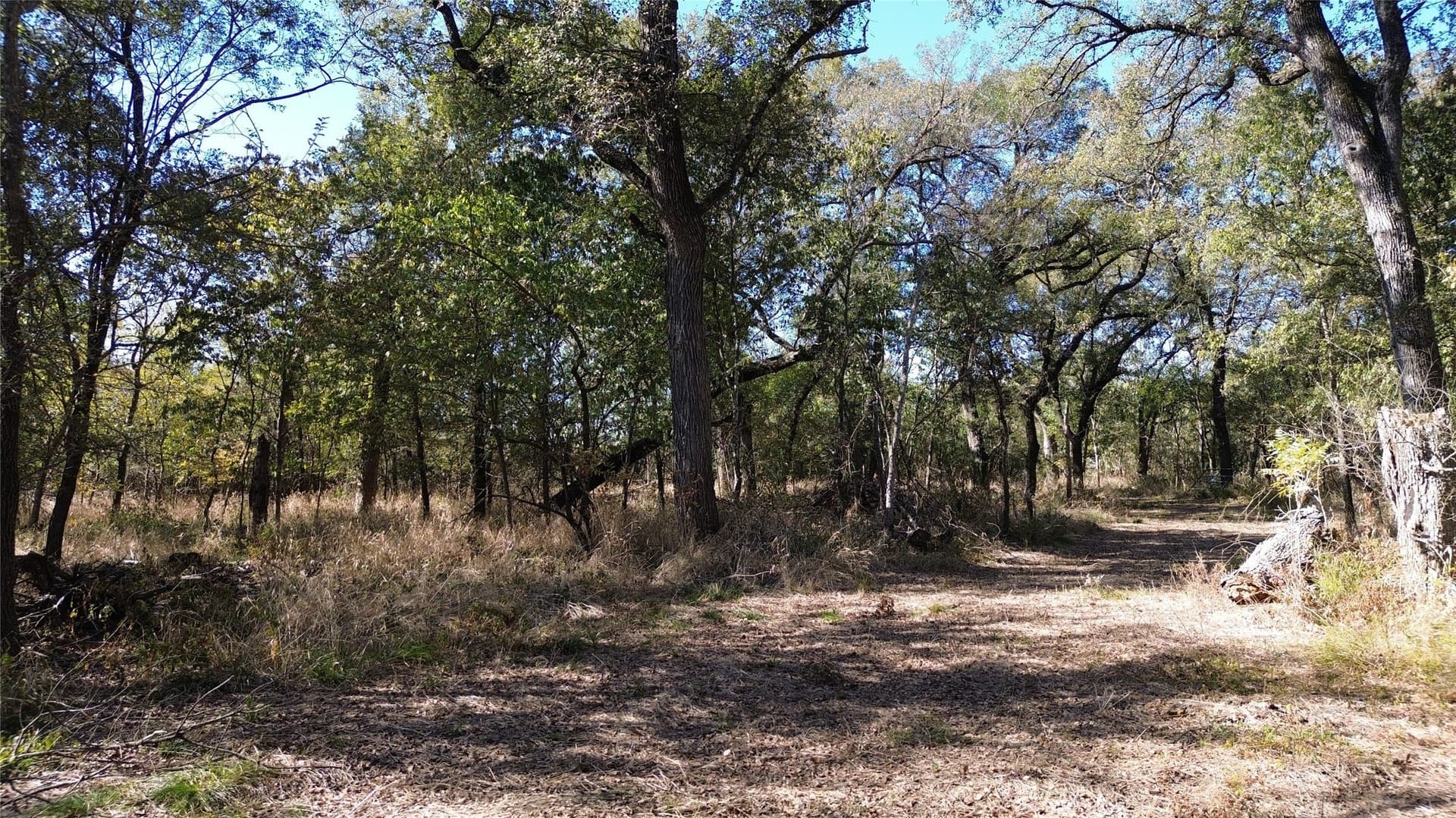 16.45 acres in Ellis County - photo 29