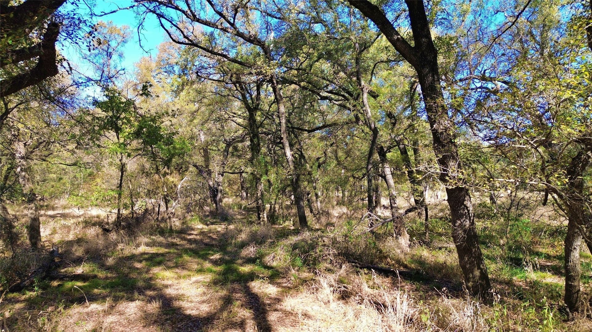 16.45 acres in Ellis County - photo 32