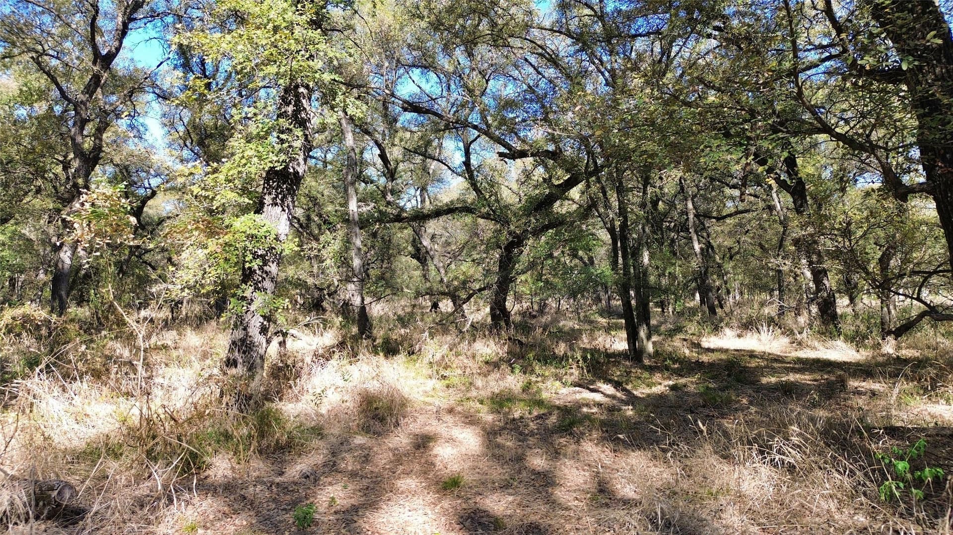 16.45 acres in Ellis County - photo 30