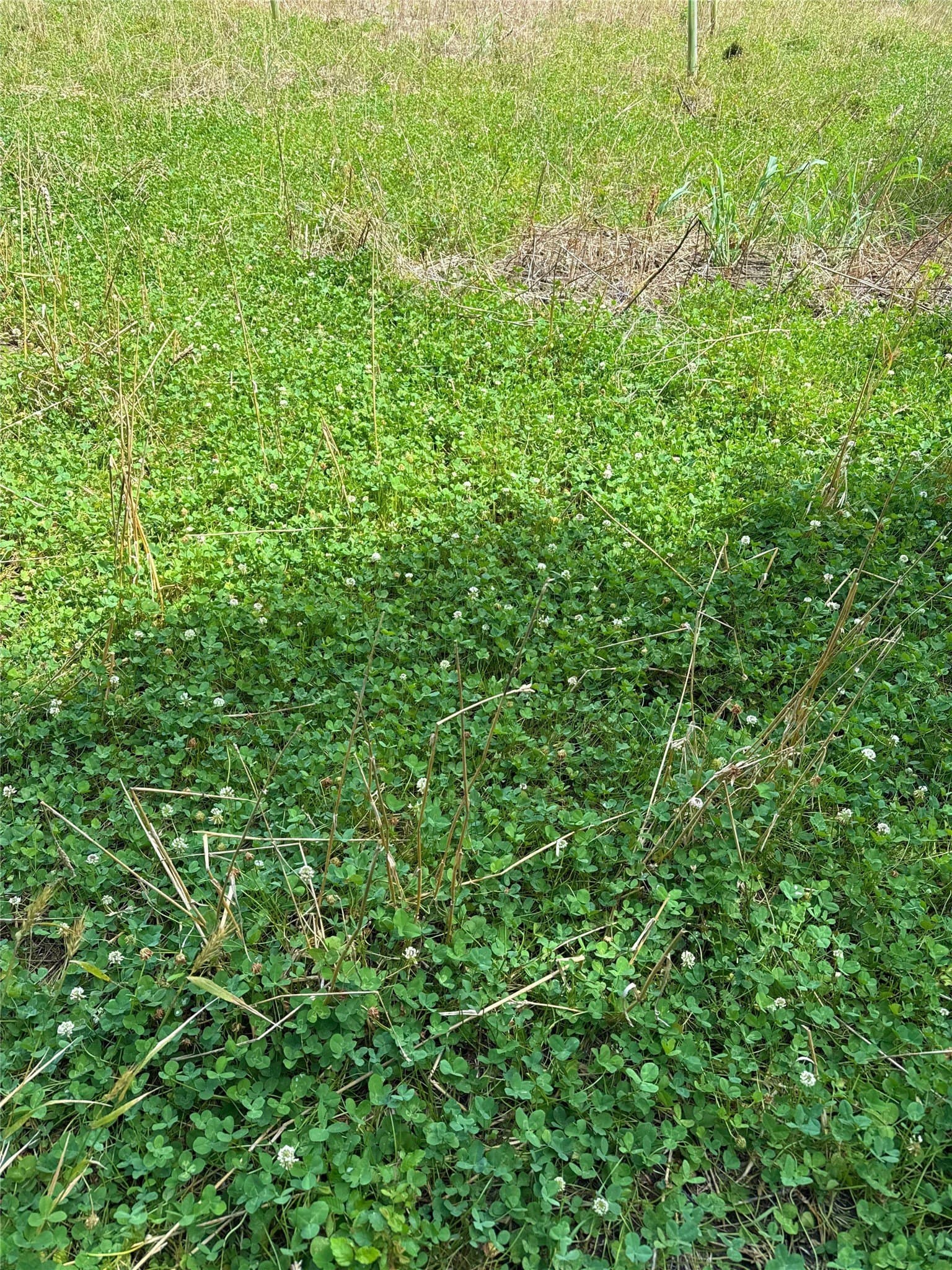 16.45 acres in Ellis County - photo 2