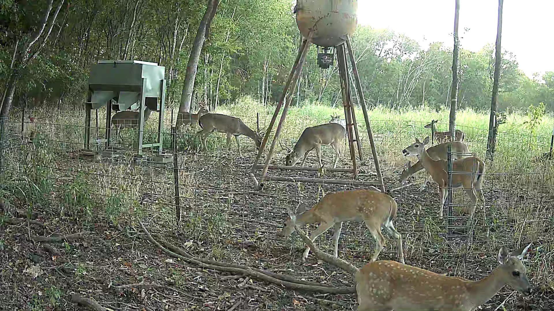 16.45 acres in Ellis County - photo 38