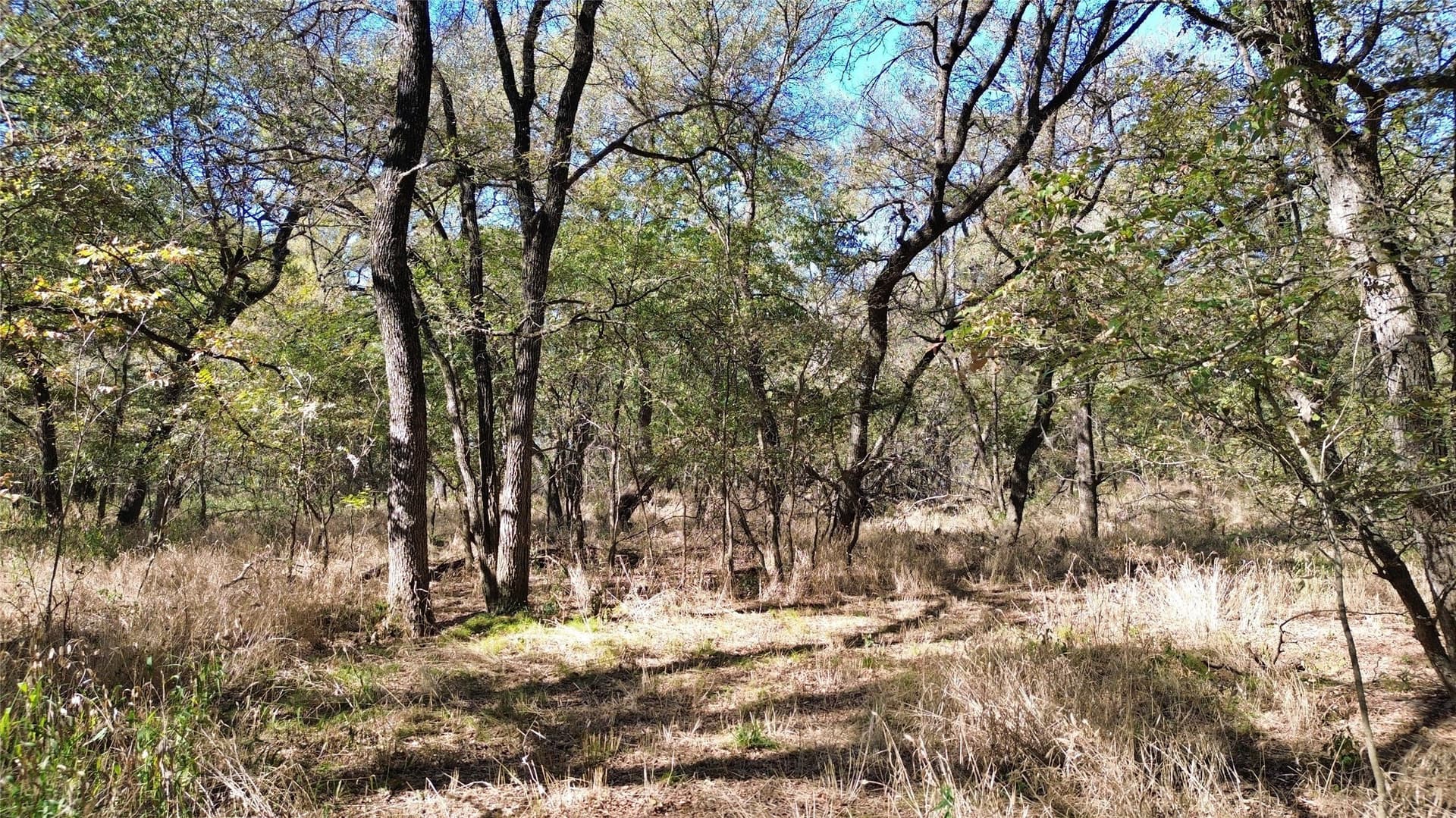 16.45 acres in Ellis County - photo 36