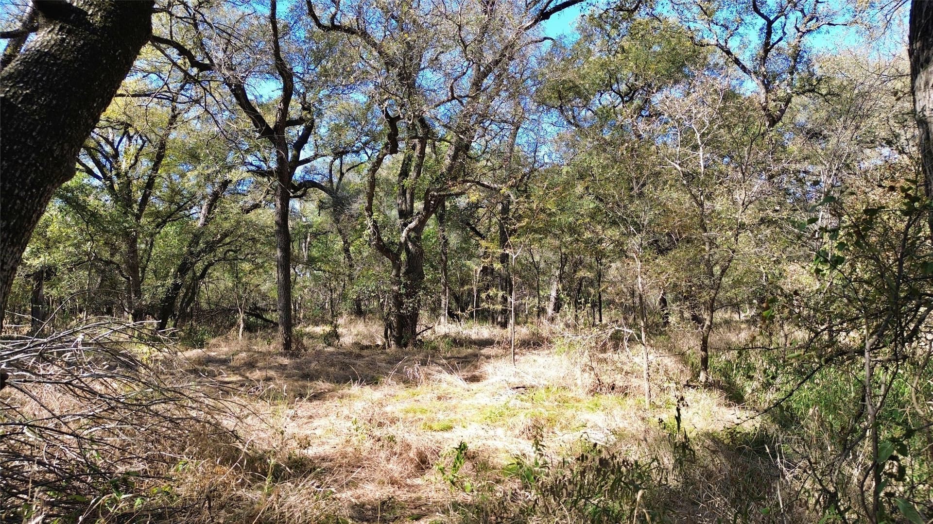16.45 acres in Ellis County - photo 35