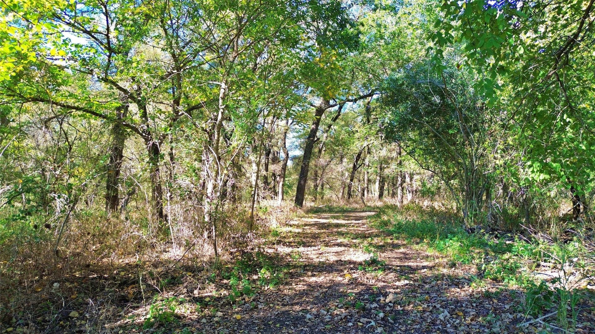16.45 acres in Ellis County - photo 10
