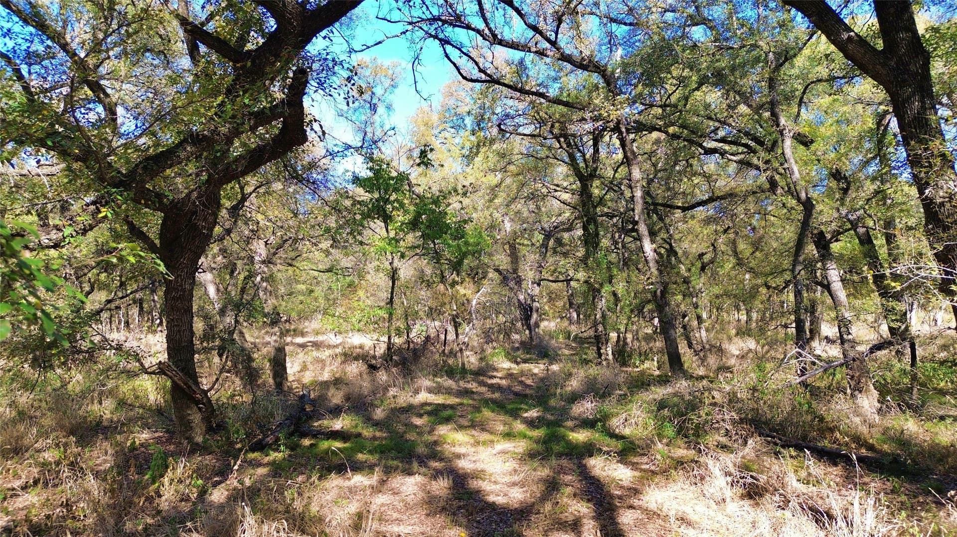 16.45 acres in Ellis County - photo 33