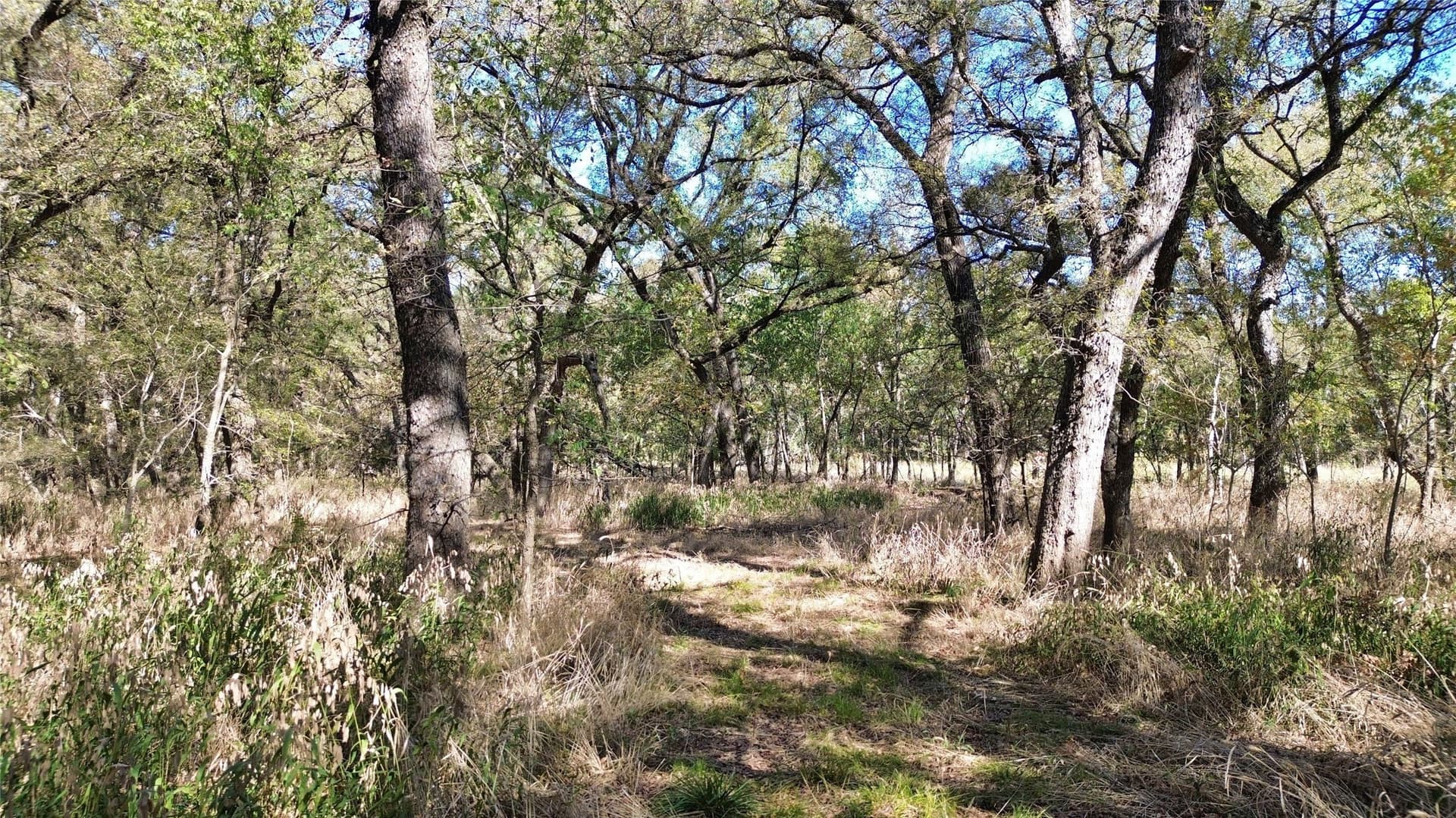 16.45 acres in Ellis County - photo 34