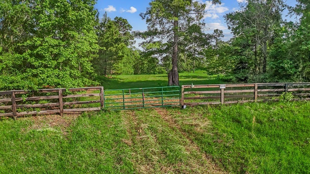 4.5 acres in Texas County gallery image 2
