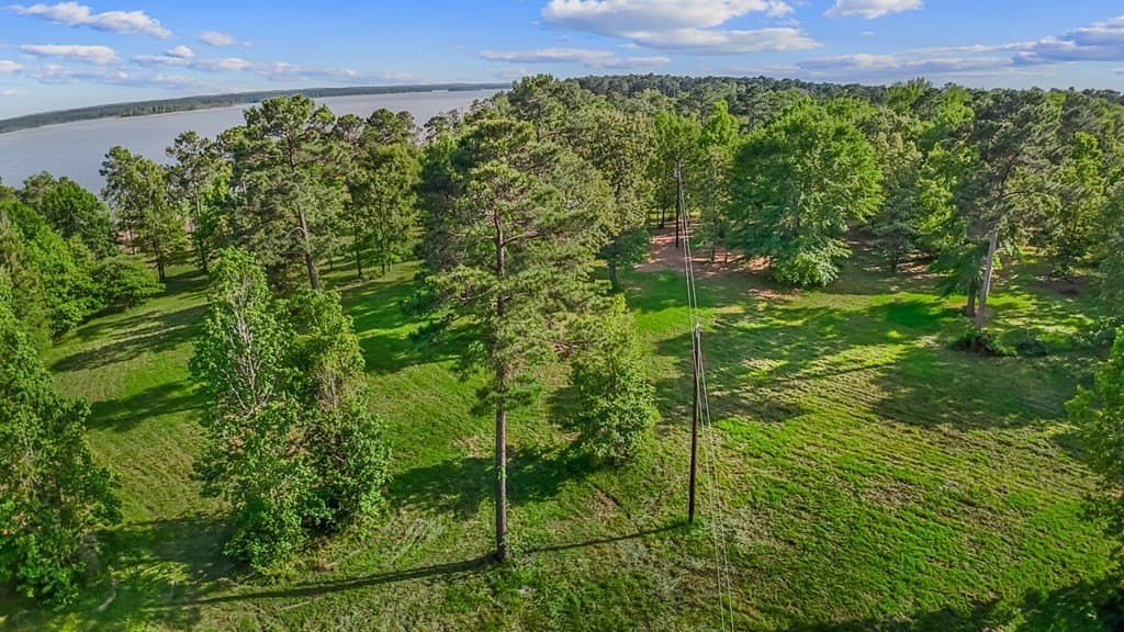 4.5 acres in Texas County gallery image 3