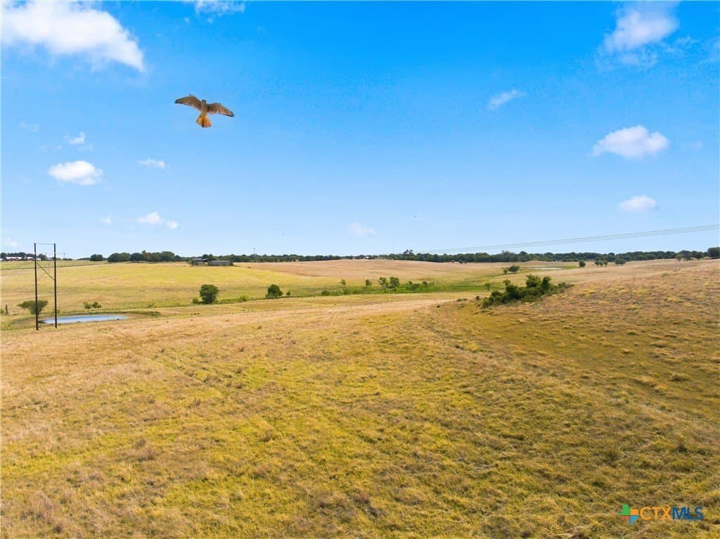49.72 acres in McLennan County - photo 13