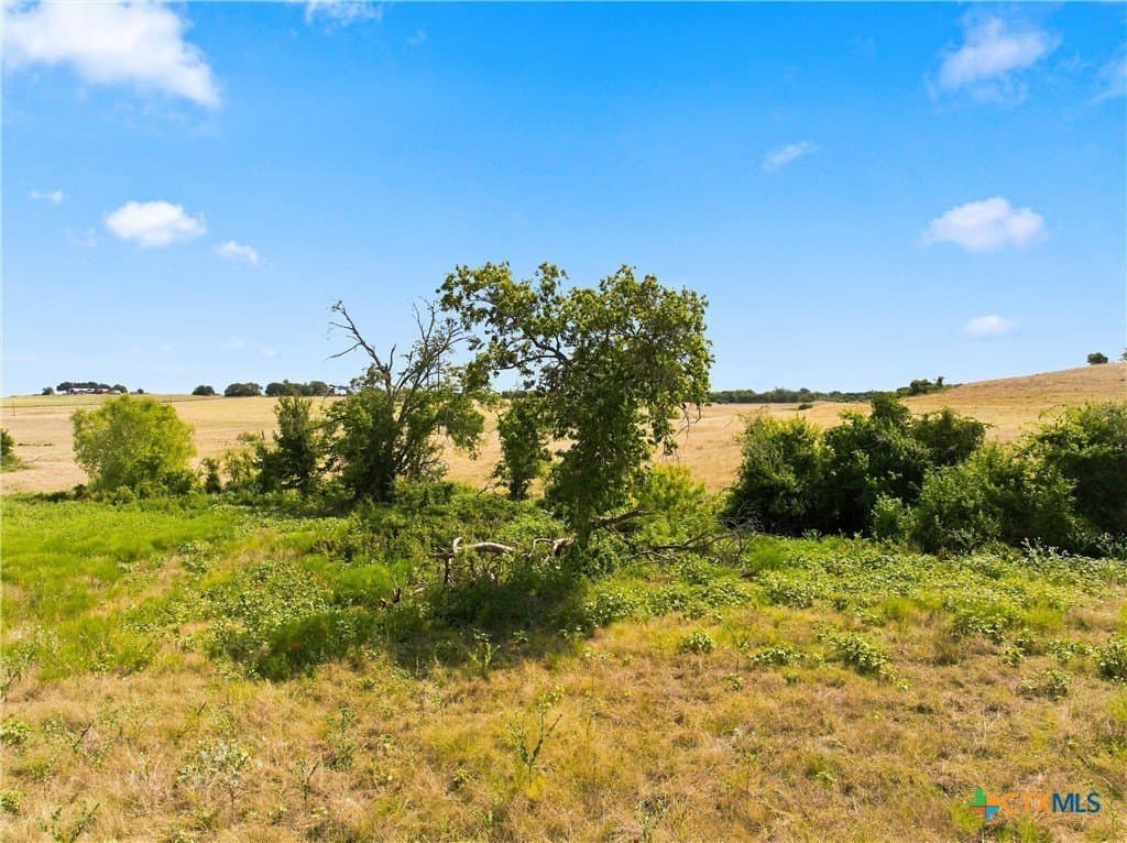 49.72 acres in McLennan County - photo 4