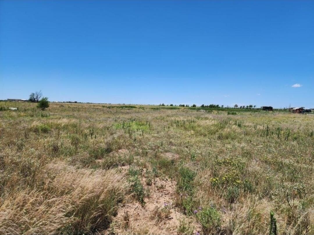 9.23 acres in Lubbock County - photo 2