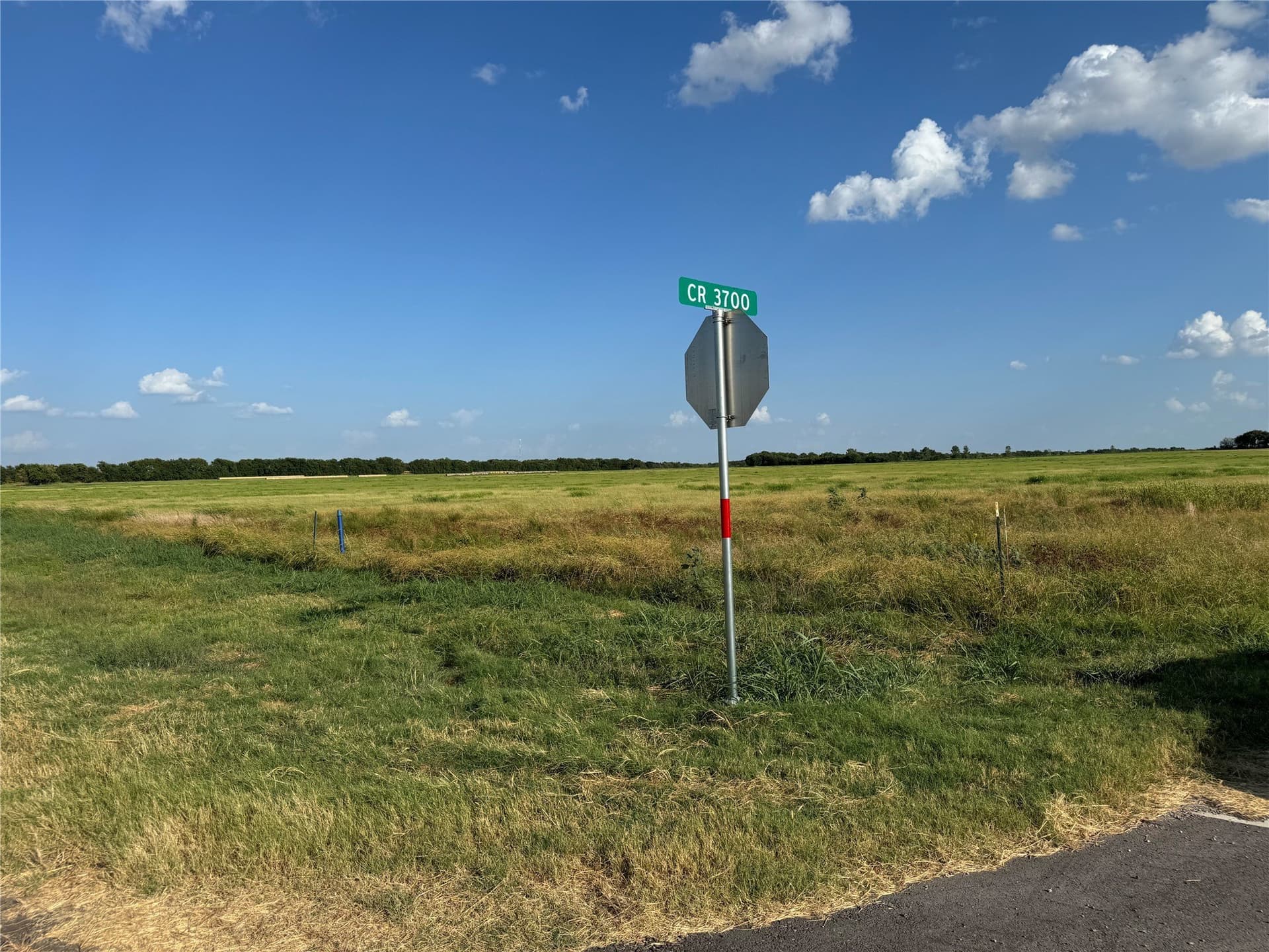 23.57 acres in Fannin County - photo 9