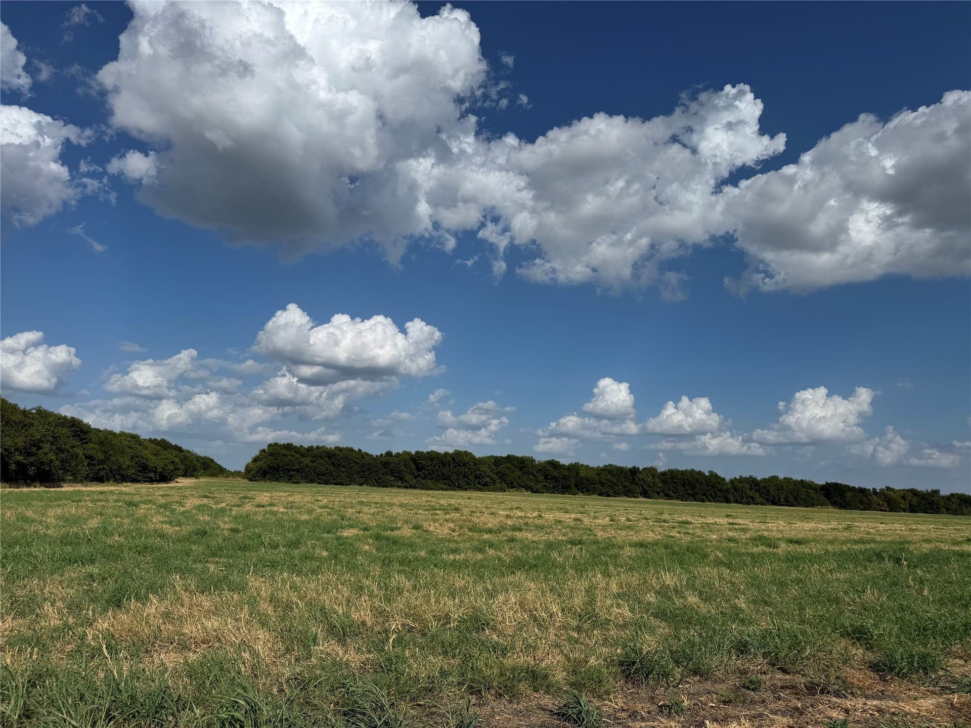 23.57 acres in Fannin County - photo 21