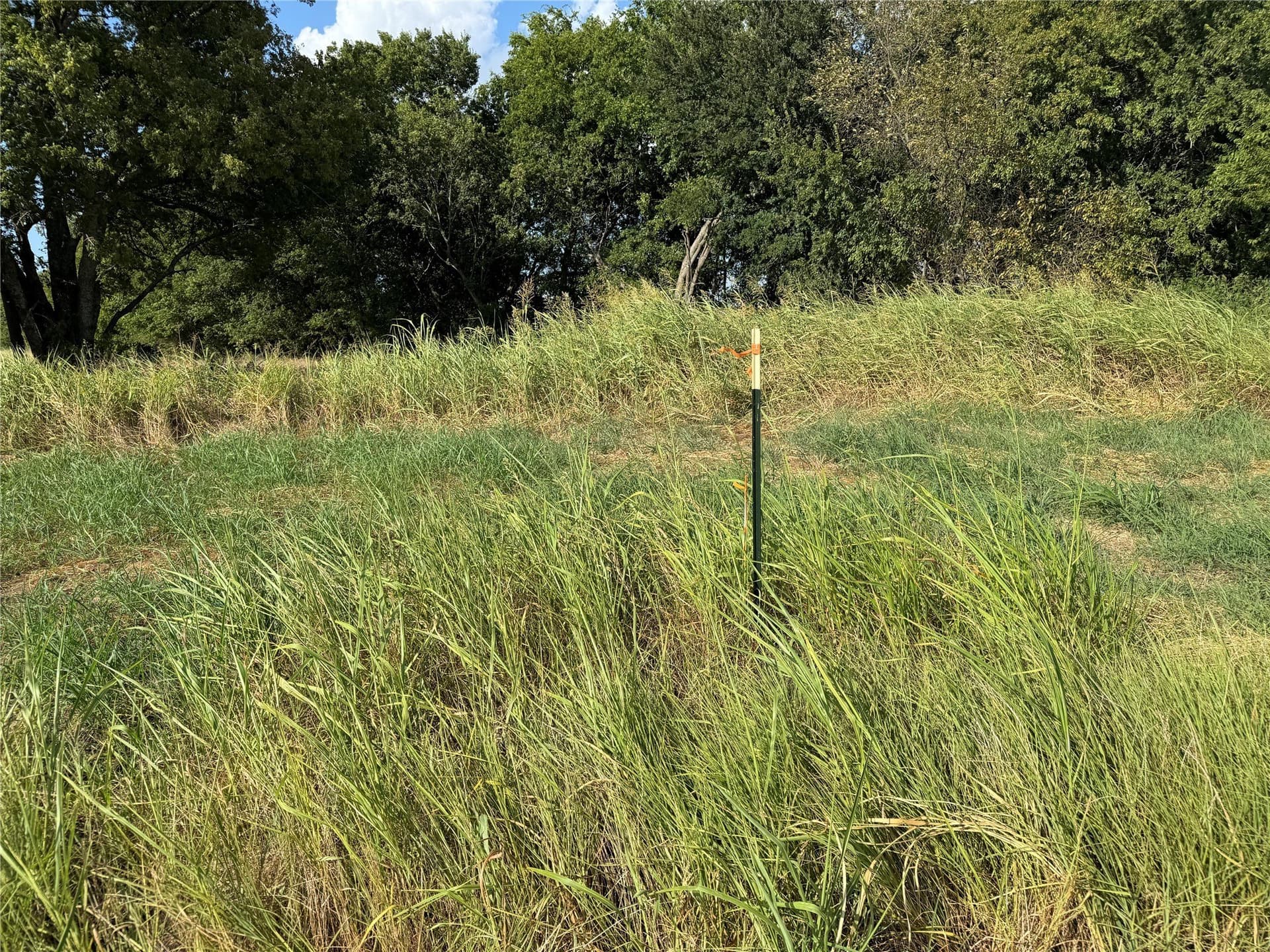 23.57 acres in Fannin County - photo 23