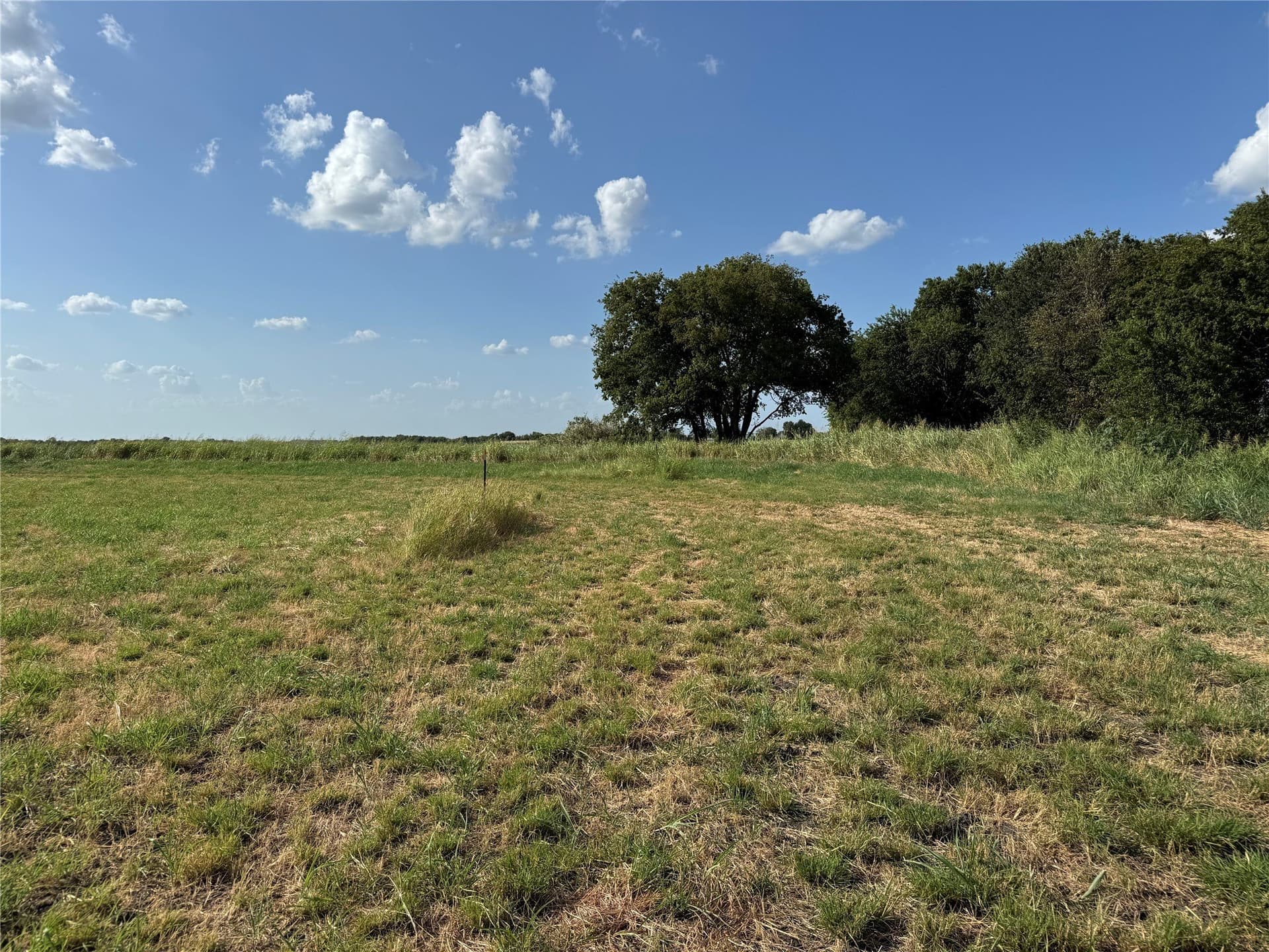 23.57 acres in Fannin County - photo 18