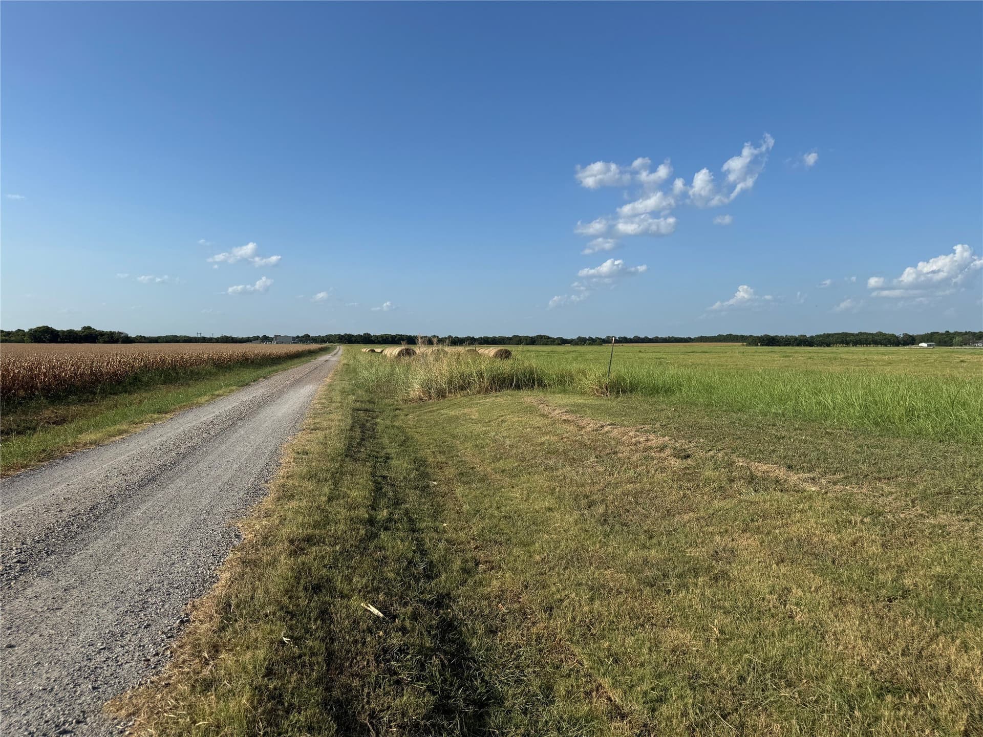 23.57 acres in Fannin County - photo 8