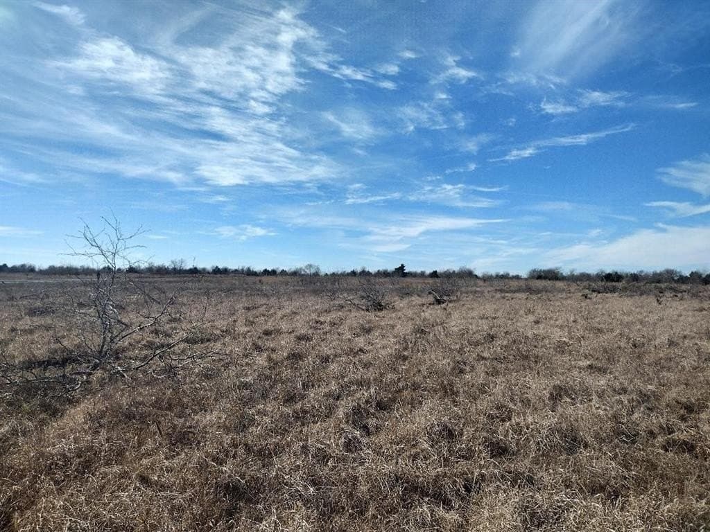 5.01 acres in Van Zandt County gallery image 4